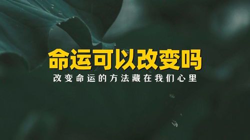 如何真正改变自己的命运