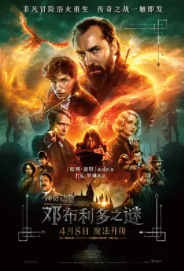 神奇动物：邓布利多之谜电影正片