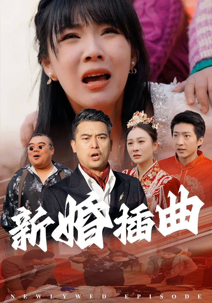 新婚插曲短剧全29集