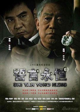 誓言永恒电视剧全28集