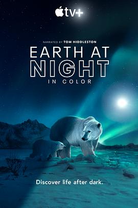 夜色中的地球第二季电影全6集