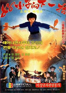 好小子的下一招电影HD国语版