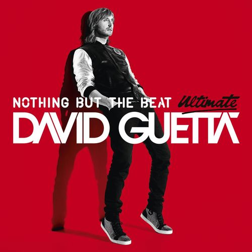 Play Hard (feat. Ne-Yo & Akon)歌词-David Guetta
