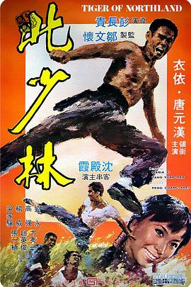 北少林电影HD中字版