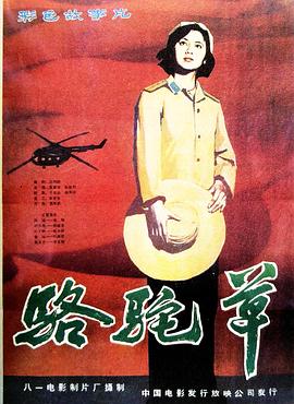 骆驼草电影HD国语