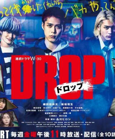 剽悍少年电视剧全10集