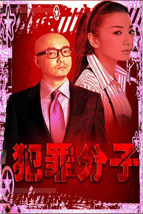 犯罪分子电影正片