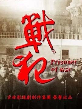 战犯电视剧全28集