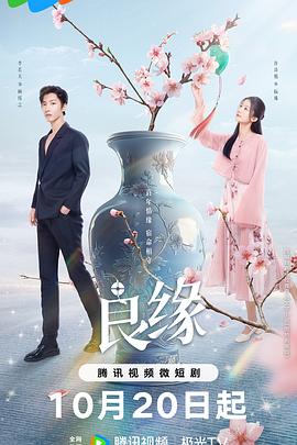 流光鉴良缘电视剧全23集