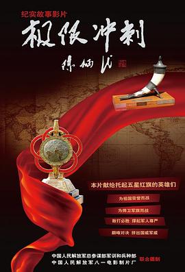 极限冲刺电影HD国语版