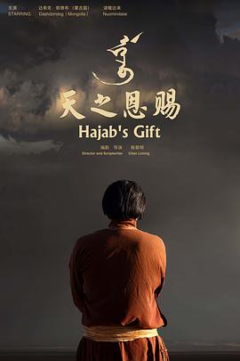 天之恩赐电影HD国语版