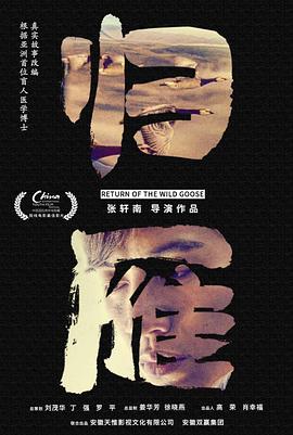 归雁电影正片