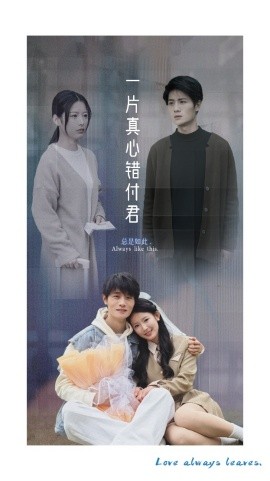一片真心错付君短剧全37集