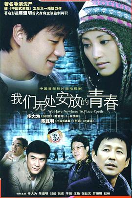 我们无处安放的青春电视剧全24集