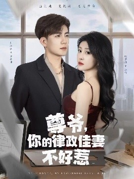 尊爷你的律政娇妻不好惹短剧全81集