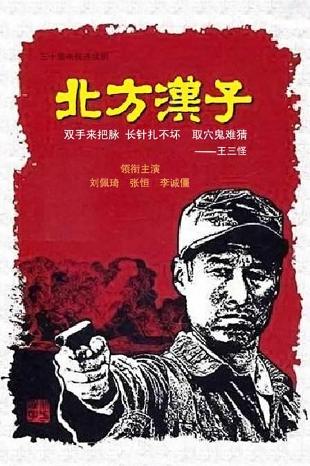 北方汉子电视剧全33集