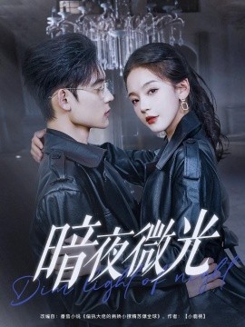 暗夜微光短剧全86集