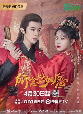 所念皆如愿电视剧全22集