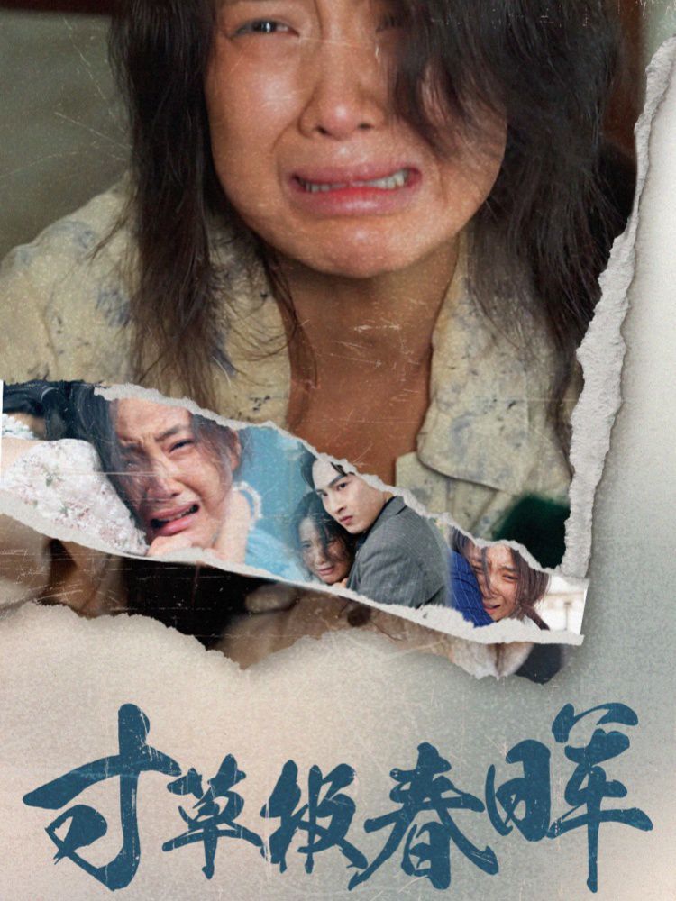 寸草报春晖短剧全65集