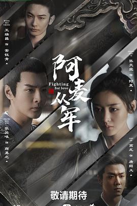 阿麦从军电视剧全36集