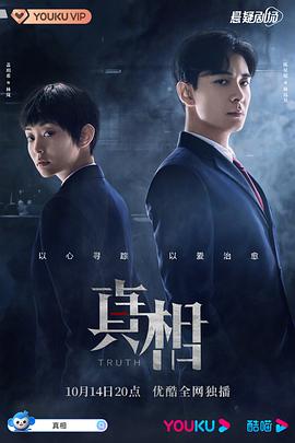 真相2021电视剧全32集