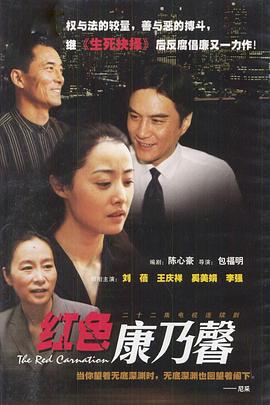 红色康乃馨电视剧全22集