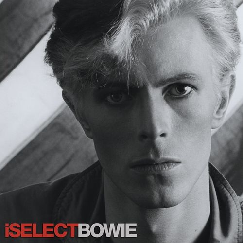 Teenage Wildlife (1999 Remaster)歌词-David Bowie