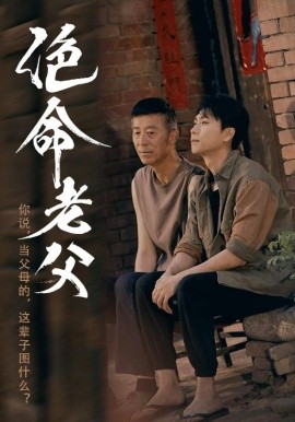 绝命老父短剧全91集