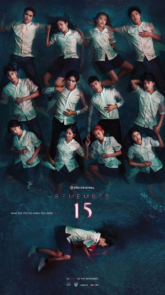 记得15电视剧全12集
